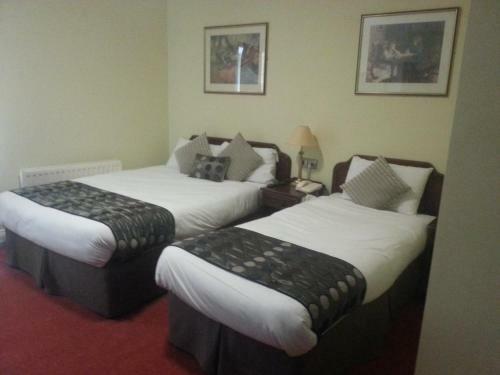 Munster Arms Hotel