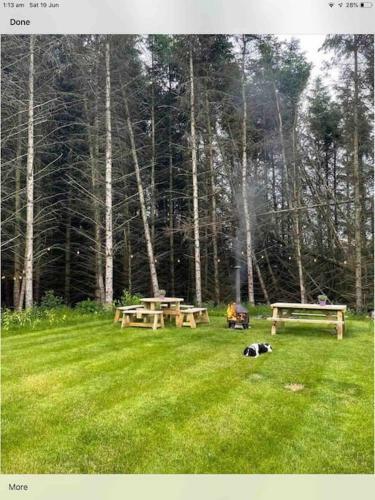 Woodland Lodge, Private Apartment With Sauna