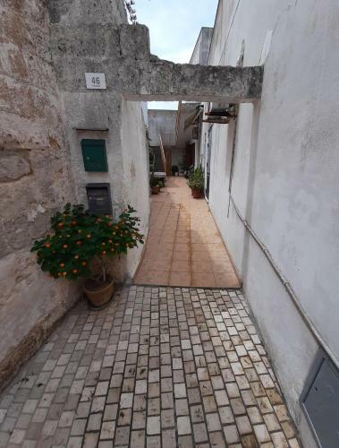 Apartamento Casa Centro Morciano