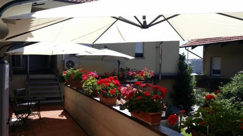 Hotel La Rosa Bianca