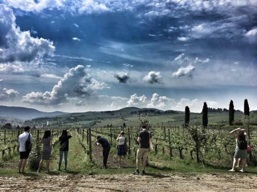 Agroturismo Fattoria Viticcio