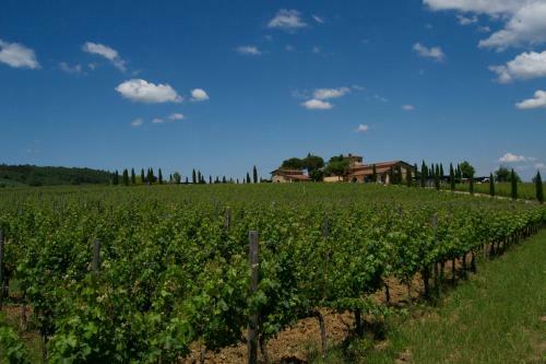 Agroturismo Fattoria Viticcio