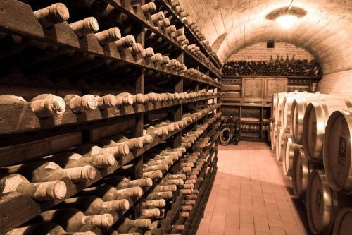 Agroturismo Fattoria Viticcio