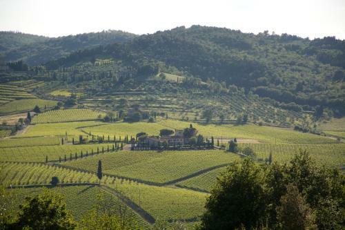 Agroturismo Fattoria Viticcio