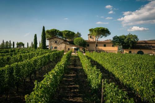 Agroturismo Fattoria Viticcio
