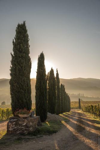 Agroturismo Fattoria Viticcio