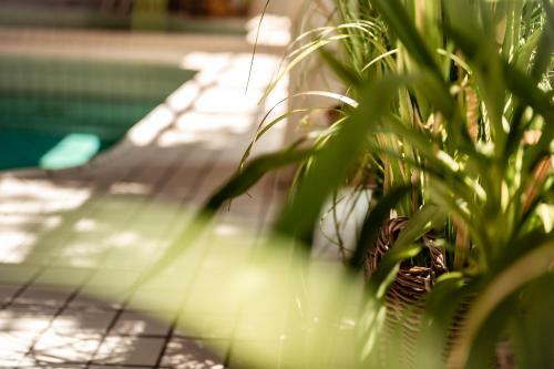 Apartamento Boutique Suites Im Walters Hof Kampen Sylt