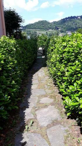 Apartamento La Casa Sul Lago, Relax E Quiete Meditativa.