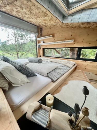 Bed & Breakfast My Tree Home Warszawa, Macierowe Bagno