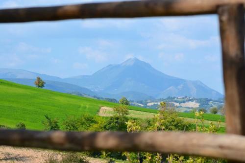 Bed And Breakfast La Cerasa