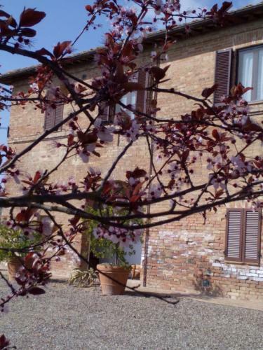 Agroturismo San Lorenzo Agriturismo