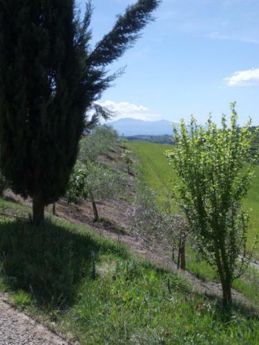 Agroturismo San Lorenzo Agriturismo