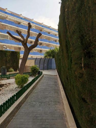 Apartamento Situado A 125 M de La Playa de La Concha