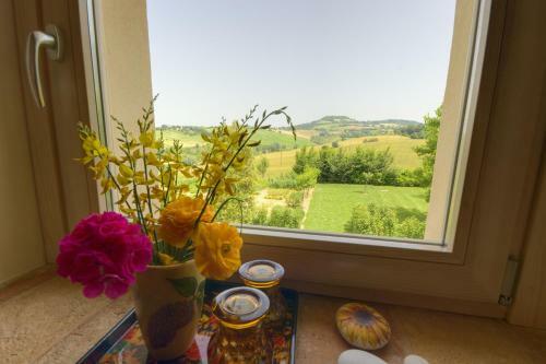 B&B Campodisole