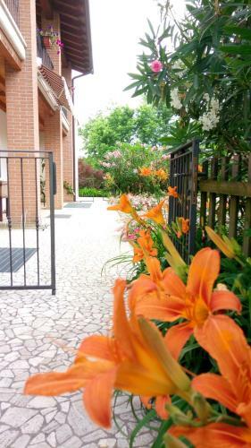 Agroturismo Agriturismo Il Magicorto