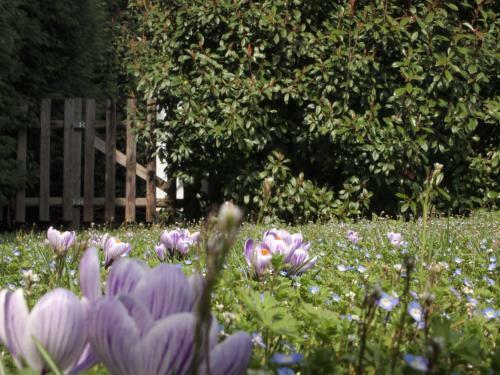 Agroturismo Agriturismo Il Magicorto