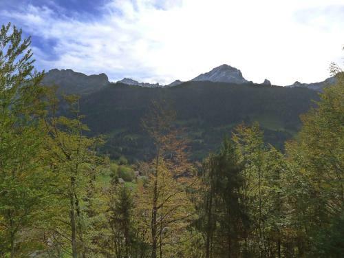 Villa Gryon 1