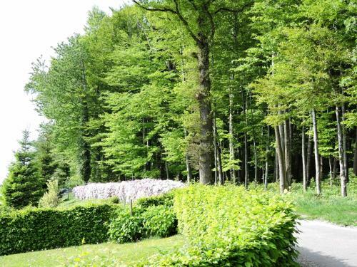 Bed & Breakfast Swiss Seasons