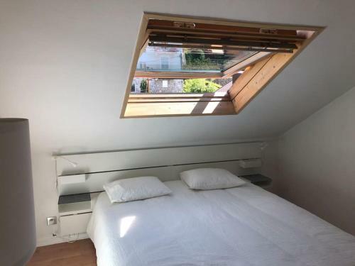 Apartamento Leman Lake Panoramic View - Evian-les-bains City Center