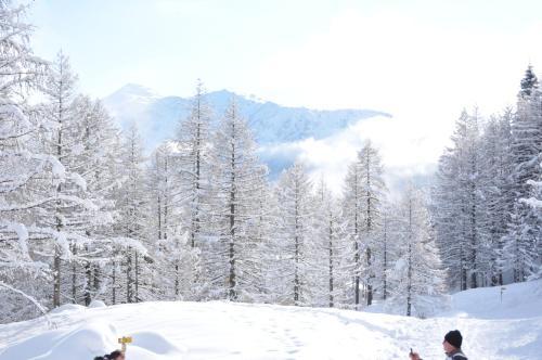 Camping Village Yolki Palki