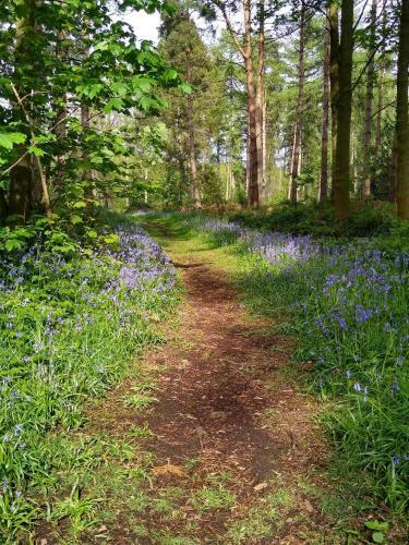 Lodge Hollicarrs Holiday Park - Hares Leap