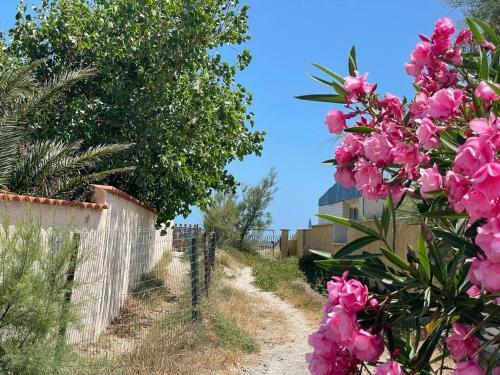 Villa 509 Mazet Et Caravane Sur Terrain Priv�