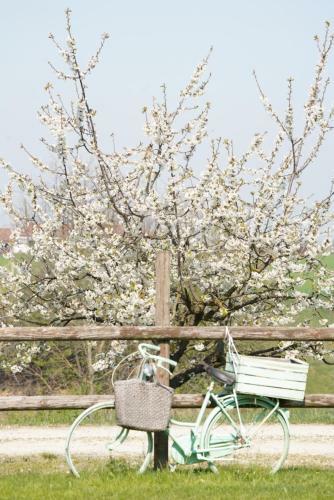 Agroturismo Cascina Papa Mora