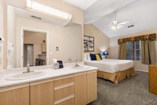 Spring Creek Comfort