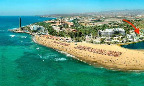 Oasis Of Maspalomas