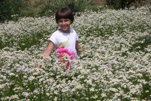 Agroturismo Arriga Alta