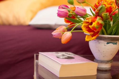 Bed & Breakfast Casa Stucky