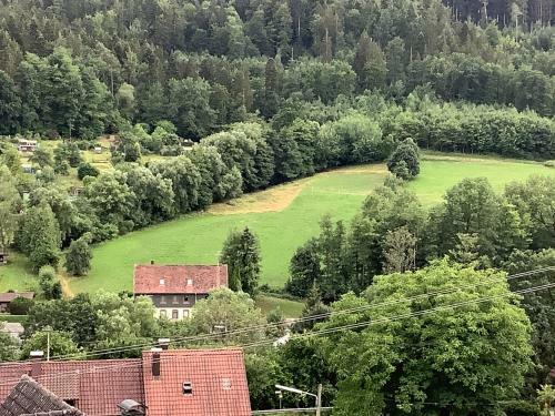 Apartamento Green Bambus Wohnung