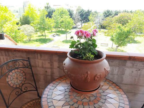 Apartamento Carina's Maison