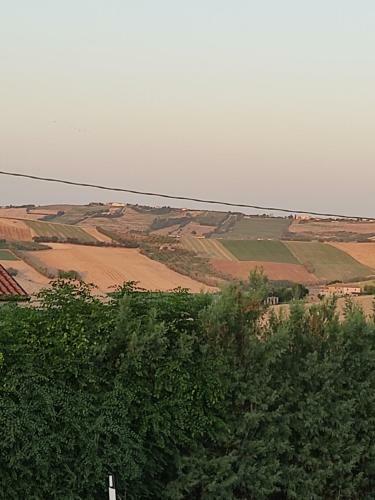 Hostal Il Primo Piano