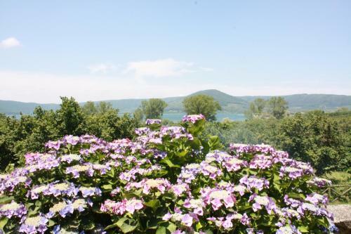 Bed & Breakfast La Finestra Sul Lago