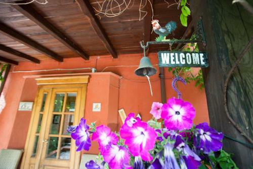Bed & Breakfast La Finestra Sul Lago