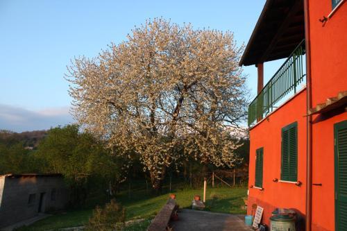 Bed & Breakfast La Finestra Sul Lago
