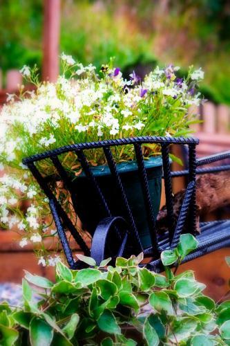 Hazelbrook Bed & Breakfast