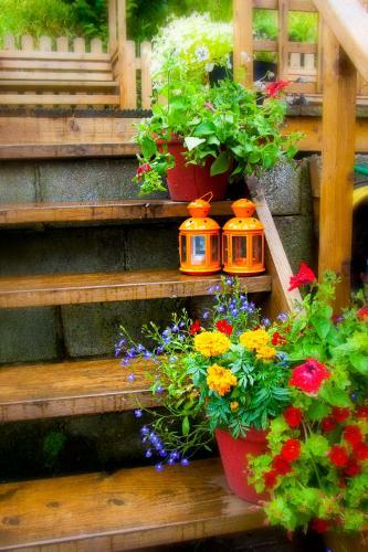 Hazelbrook Bed & Breakfast