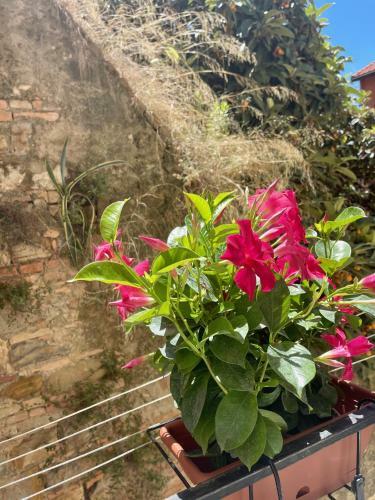 Apartamento Pigna Tommy House