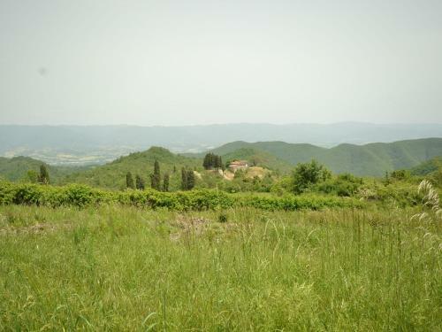 Apartamento Caterina