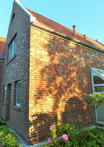 M�wenblick