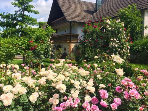 Apartamento Winzerhof M�nnle