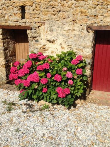 Hostal Le Clos De La Viniere