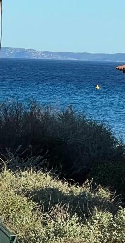 Apartamento A Quelques Pas de La Mer La Capte
