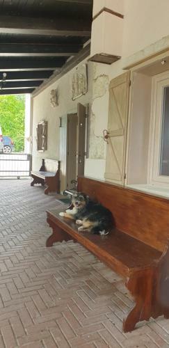 Hostal Ca' Dea Gondola