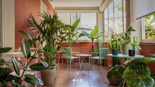 Miio Hotel