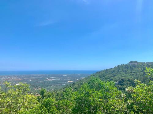Apartamento Appartamentino Maria