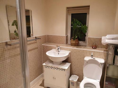 Beautiful Ensuite Room