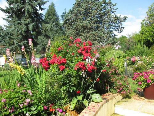G�te Les Noisetiers Maison Familiale Avec Piscine